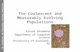 The Coalescent and Measurably Evolving Populations Alexei Drummond Department of Computer Science University of Auckland, NZ.