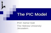 The PIC Model Prof. Itamar Gati The Hebrew University Jerusalem.