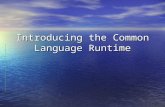 Introducing the Common Language Runtime. The Common Language Runtime The Common Language Runtime (CLR) The Common Language Runtime (CLR) –Execution engine.