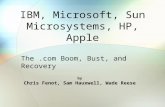 IBM, Microsoft, Sun Microsystems, HP, Apple by Chris Fenot, Sam Hauxwell, Wade Reese The.com Boom, Bust, and Recovery.