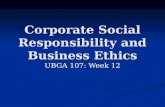 Corporate Social Responsibility and Business Ethics UBGA 107: Week 12.