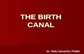 THE BIRTH CANAL Dr. Radu Alexandru Pintilie. - the bony pelvis - THE BIRTH CANAL.