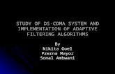 STUDY OF DS-CDMA SYSTEM AND IMPLEMENTATION OF ADAPTIVE FILTERING ALGORITHMS By Nikita Goel Prerna Mayor Sonal Ambwani.