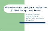 1 MicroBooNE: LarSoft Simulation & PMT Response Tests Jessica Esquivel August 6 2009 Nevis Labs, Columbia University.