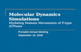 Molecular Dynamics Simulations Modeling Domain Movements of P-type ATPases Pumpkin Annual Meeting September 19, 2008.