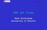 Radio galaxies in the Chandra era AGN jet flows Mark Birkinshaw University of Bristol.