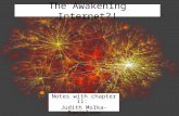 The Awakening Internet?! Notes with chapter 11: Judith Molka-Danielsen IN765.