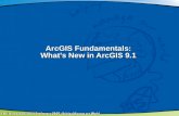 ArcGIS Fundamentals: What’s New in ArcGIS 9.1. Overview Current statusCurrent status ArcGIS 9.1ArcGIS 9.1 –Major themes –New features –Product changes.