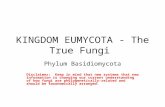 KINGDOM EUMYCOTA - The True Fungi Phylum Basidiomycota Disclaimer: Keep in mind that new systems that new information is changing our current understanding.