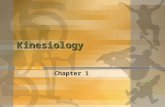 Kinesiology Chapter 1. What is kinesiology? Kines- = ? -ology = ? Kinesiology = study of movement 1. Bones of the joints 2. Movements at each joint 3.