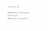 Lecture 14 Membranes continued Diffusion Membrane transport.