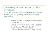 Investing at the bottom of the pyramid: Experimental evidence on business activity and group cohesion from Tanzania. Sarah Baird (George Washington University)