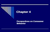 Chapter 4 Perspectives on Consumer Behavior. Last Class  Organization of the advertising agency.