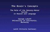 The Brain’s Concepts The Role of the Sensory-Motor System in Reason and Language George Lakoff University of California, Berkeley (with Vittorio Gallese)