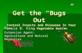 Get the “Bugs” Out Control Insects and Diseases in Your Vegetable Garden Pamela B. King Extension Agent- Agriculture and Natural Resources.