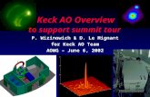 P. Wizinowich & D. Le Mignant for Keck AO Team AOWG – June 6, 2002 Keck AO Overview to support summit tour.