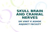 SKULL BRAIN AND CRANIAL NERVES DR VINIT K ASHOK ADJUNCT FACULTY.