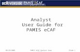 05/29/2009 PAMIS eCAF Analyst User GuideSlide 1 Analyst User Guide for PAMIS eCAF.