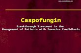 Download from  Caspofungin Breakthrough Treatment in the Management of Patients with Invasive Candidiasis.