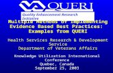 Multiple Methods of Implementing Evidence Based Best Practices: Examples from QUERI Health Services Research & Development Service Department of Veterans.