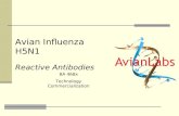 Avian Influenza H5N1 Reactive Antibodies BA 468x Technology Commercialization.