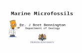 Marine Microfossils Dr. J Bret Bennington Department of Geology.