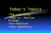 Today’s Topics The Land Ethic Deep vs. Shallow Ecology Eco-Feminism Gaia Hypothesis.