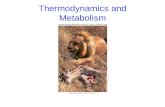 Thermodynamics and Metabolism. 2 Metabolism Metabolism: all chemical reactions occurring in an organism Anabolism: chemical reactions that expend energy.