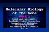 Molecular Biology of the Gene PART 2 Debbi Ann Morrissette Graduate Student Researcher Laboratory of Molecular Neuropathogenesis University of California,