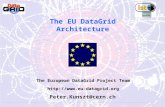 The EU DataGrid Architecture The European DataGrid Project Team  Peter.Kunszt@cern.ch.