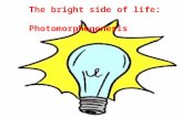 The bright side of life: Photomorphogenesis. Cells and cell growth Membranes and cell walls Fertilization and embryogenesis Seed development and dormancy.