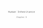 Human Inheritance Chapter 9. Overview Human inheritance patterns: –Autosomal –Sex-linked Sex determination systems.