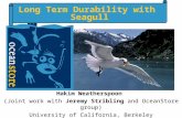 Long Term Durability with Seagull Hakim Weatherspoon (Joint work with Jeremy Stribling and OceanStore group) University of California, Berkeley ROC/Sahara/OceanStore.