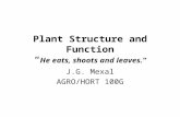Plant Structure and Function “ He eats, shoots and leaves.” J.G. Mexal AGRO/HORT 100G.