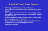 Capital Case Law Issues Challenges to first-degree murder indictment First-degree murder conviction and punishment for other felonies First-degree murder.