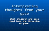 Interpreting thoughts from your gaze What children and apes read into the direction of gaze.