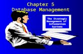 Chapter 5 Database Management The Strategic Management of Information Systems.