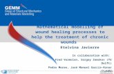 Mathematical modelling of wound healing processes to help the treatment of chronic wounds Etelvina Javierre In collaboration with: Fred Vermolen, Sergey.