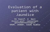 Evaluation of a patient with Jaundice Dr Yousif. A Qari Assist prof. consultant gastroenterologist KAUH, Jeddah, Saudi Arabia.