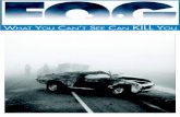 While many drivers believe winter’s icy roads are the most dangerous driving hazard they face, fog actually poses the greatest on-road danger. Fog is.