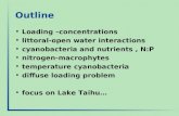 Outline Loading –concentrations littoral-open water interactions cyanobacteria and nutrients, N:P nitrogen-macrophytes temperature cyanobacteria diffuse.
