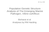 Population Genetic Structure Analysis of The Emerging Marine Pathogen, Vibrio vulnificus Bisharat et al Analyses by RM Harding 6th July, 2006.