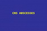 CNS ABSCESSES. Focal pyogenic infections of the central nervous system Exert their effects mainly by: –Direct involvement & destruction of the brain or.