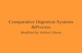 Comparative Digestion Systems &Process Modified by Ashlee Gibson.