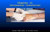 Copyright © 2006 by Mosby, Inc. All rights reserved. Chapter 11 Intravenous Cannulation.