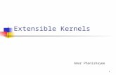 1 Extensible Kernels Amar Phanishayee. 2 Traditional OS services – Management and Protection Provides a set of abstractions Processes, Threads, Virtual.