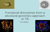 Functional discoveries from a structural genomics approach to TB Ted Baker.