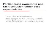 Partial cross ownership and tacit collusion under cost asymmetries David Gilo, Tel Aviv University Yossi Spiegel, Tel Aviv University and CEPR Umed Temurshoev,