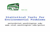 Statistical Tools for Environmental Problems peter@stat.washington.edu  NRCSE.
