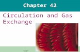 Chapter 42 Circulation and Gas Exchange Salmon gills.